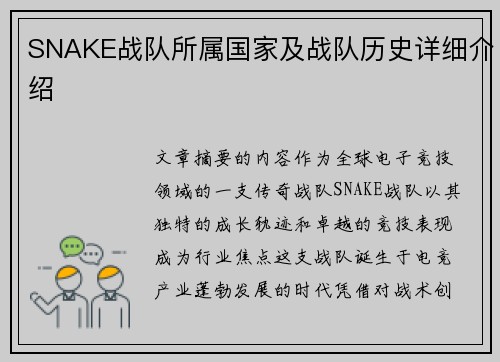 SNAKE战队所属国家及战队历史详细介绍